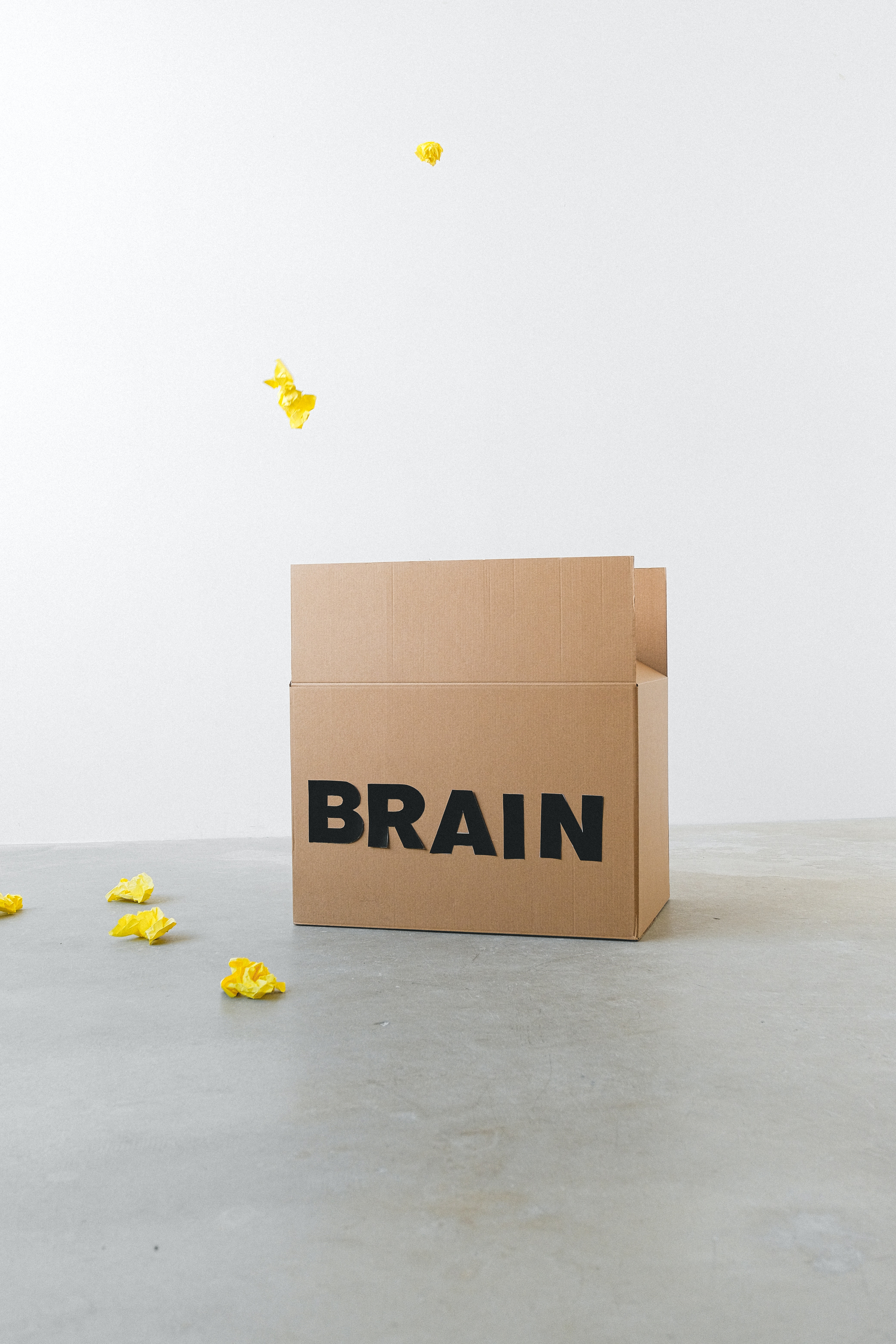 brainbox brainbox